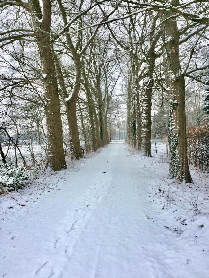 Landgoed Hoeve Honeswei Winterswijk Esterno foto